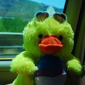 Meet your Posher, Gina